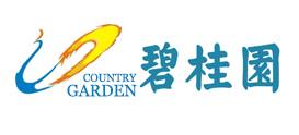 碧桂园控股有限公司
